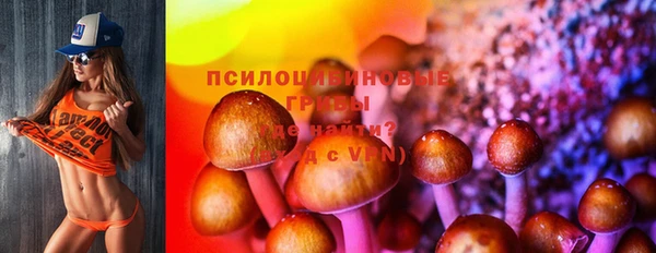 Альфа ПВП Нефтегорск