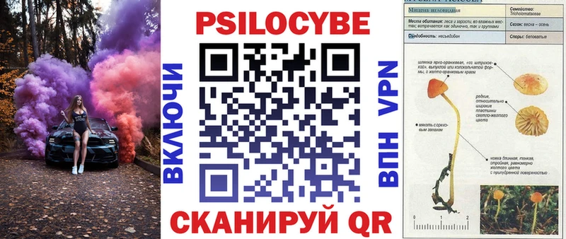 Псилоцибиновые грибы Psilocybine cubensis Томилино